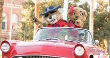 Wilbur and Wilma Wildcat, the University of Arizona mascots, ride in a classic convertible during the 2018 Homecoming parade