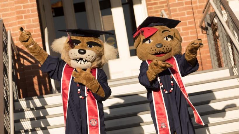Wilbur and Wilma, UA mascots in graduation regalia