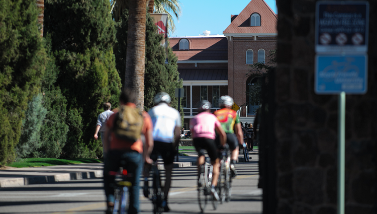 A row of cyclists riding towards the Old Main building on the University of Arizona campus